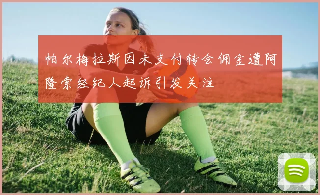 帕尔梅拉斯因未支付转会佣金遭阿隆索经纪人起诉引发关注